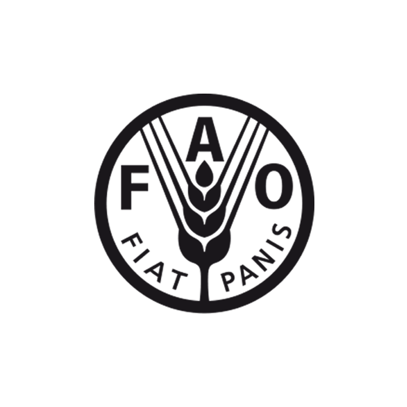 Фао оон. Продовольственная и сельскохозяйственная организация ООН (ФАО ООН). ФАО эмблема. FAO логотип. Food and Agriculture Organization.